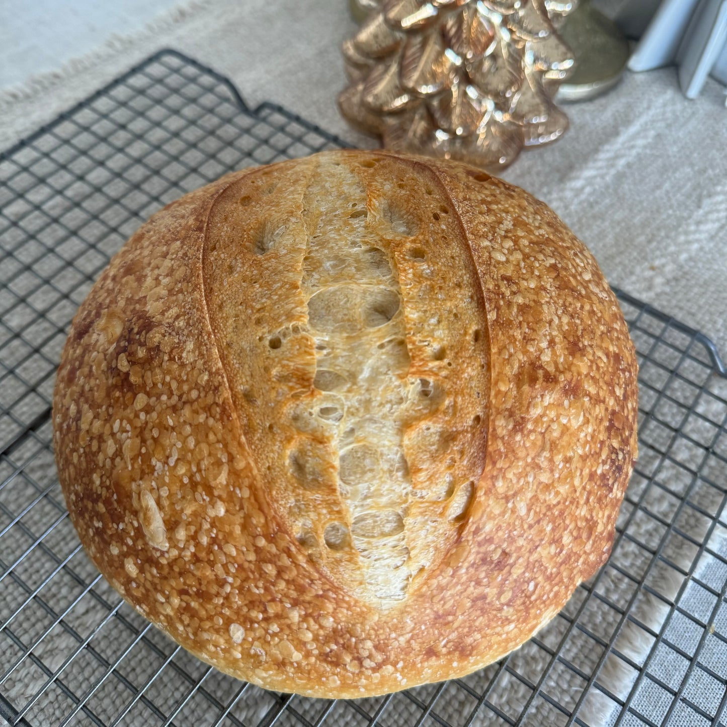 Classic Sourdough